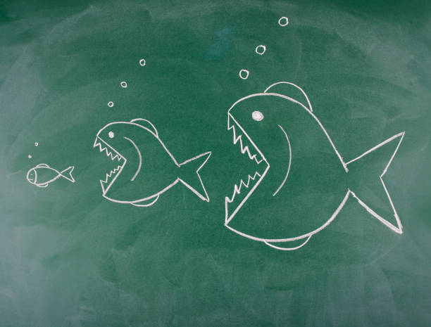 istock Fishes drawn with Chalk on blackboard 172447390