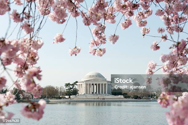 제퍼슨 기념관 벚꽃 초점 밖으로 Sakura Matsuri에 대한 스톡 사진 및 기타 이미지 - Sakura Matsuri, 워싱턴 DC, 0명