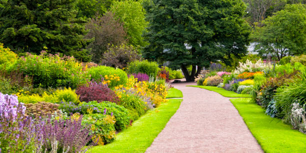 istock Beautiful colorful garden 172448043