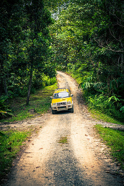 istock Off-Road  Jeep in the Jungle 172448119