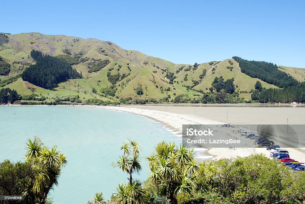 Verano paisaje marino, Cable Bay, Nelson, Nueva Zelanda - Foto de stock de Agua libre de derechos