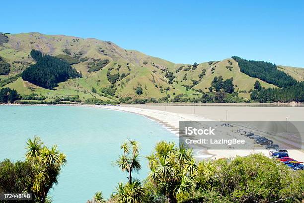 여름 바다 경치를 케이블 베이에서의 Nelson New Zealand 강어귀에 대한 스톡 사진 및 기타 이미지 - 강어귀, 경관, 고요한 장면