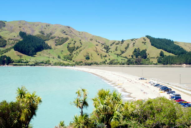 istock Summer Seascape, Cable Bay, Nelson, New Zealand 172448148