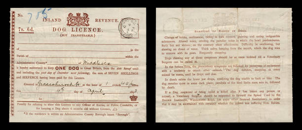istock British dog licence from 1893 172448233