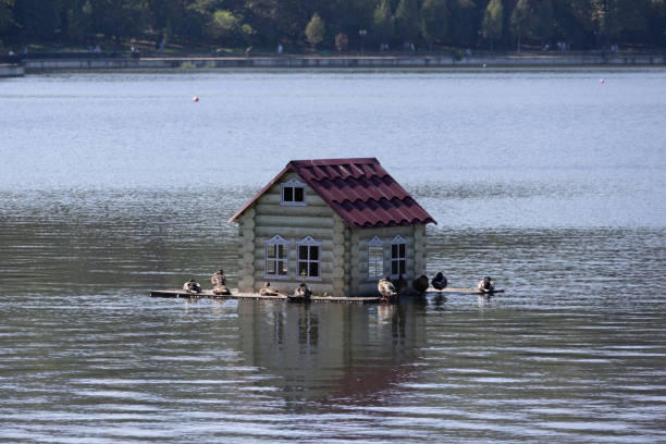 istock Valea Morilor Park. A Bird House on the Water 1724484253