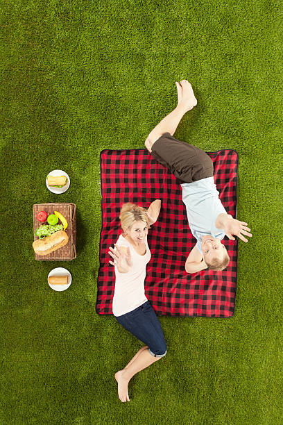 istock Elevated view of a couple at picnic 172448669
