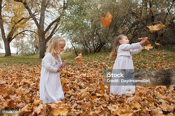 보그다 게임하기 가을 낙엽 2명에 대한 스톡 사진 및 기타 이미지 - 2명, 4-5세, 가을