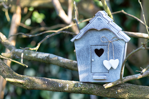 A bird house in a tree