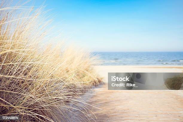 Accesso A Una Spiaggia Tranquilla - Fotografie stock e altre immagini di Sparto pungente - Sparto pungente, Onda, Spiaggia