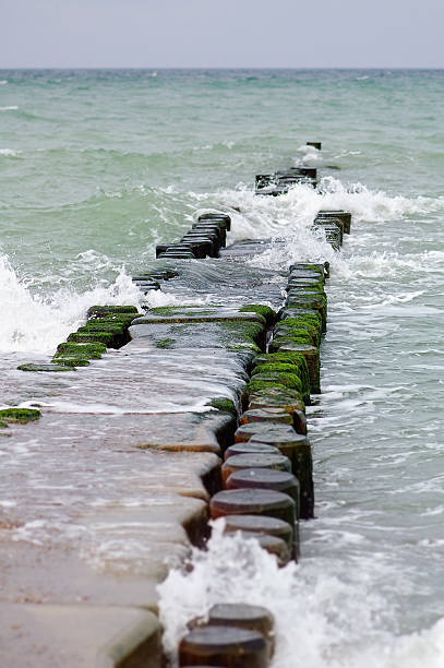 espigón con olas del mar báltico playa de darss penínsulas (alemania - bohlen fotografías e imágenes de stock