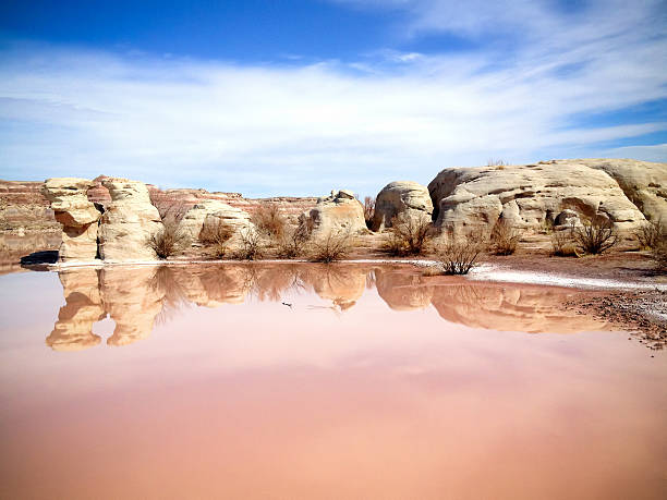 mobilestock 배드랜즈 레이브 - badlands tranquil scene pink red 뉴스 사진 이미지