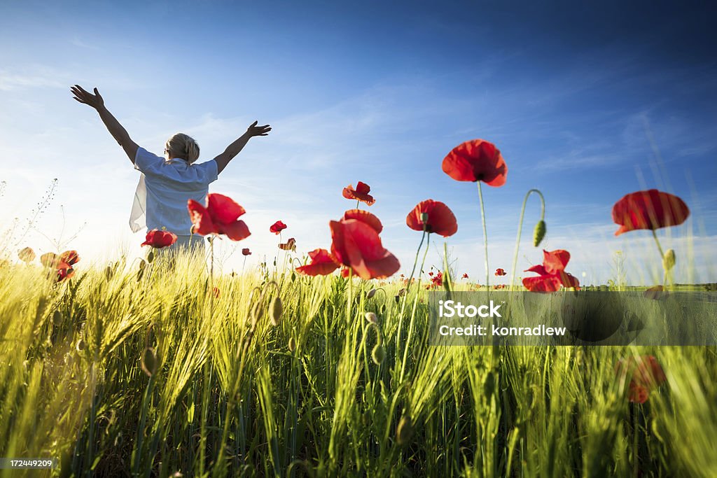Femme aux bras en relief les Red Poppies- champ de blé de printemps - Photo de Champ libre de droits