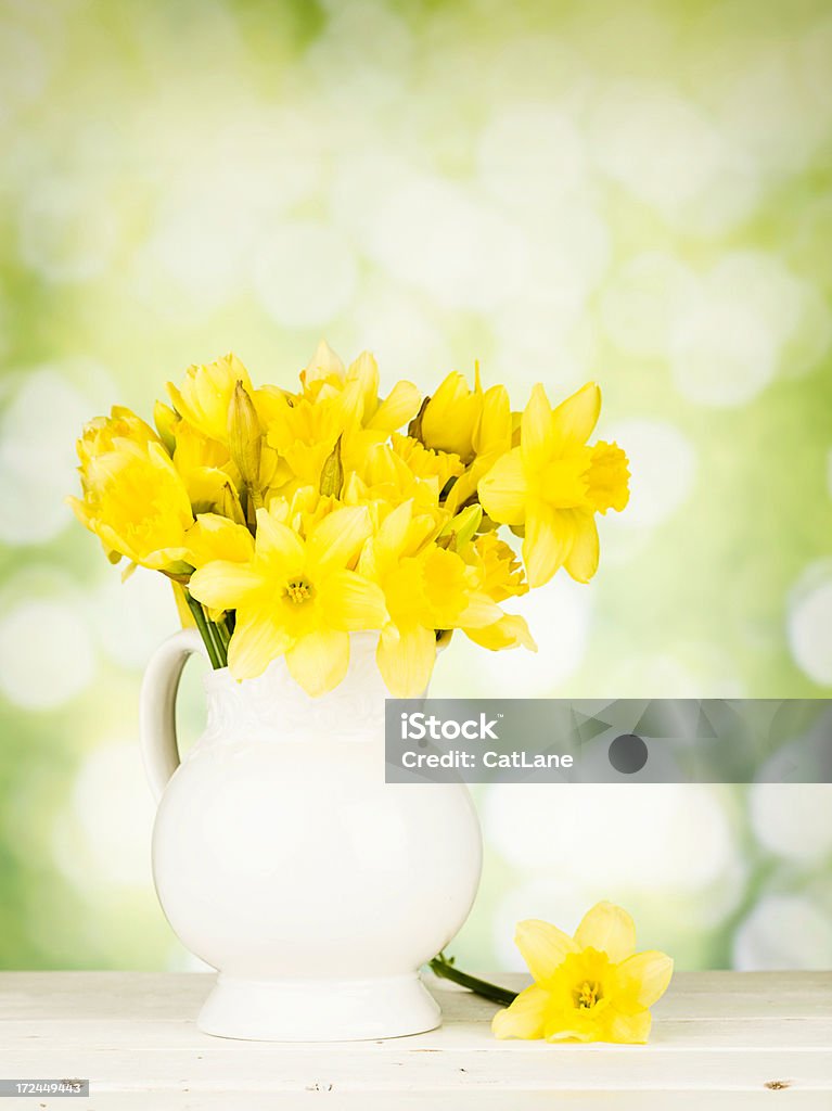 Primavera narcisos - Foto de stock de Amarelo royalty-free