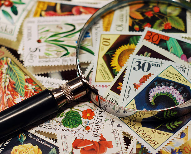 stamp collection loop and various multi color stamps stamp collecting stock pictures, royalty-free photos & images