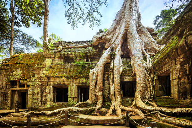 angkor wat, kambodscha-tempel - kambodschaner stock-fotos und bilder