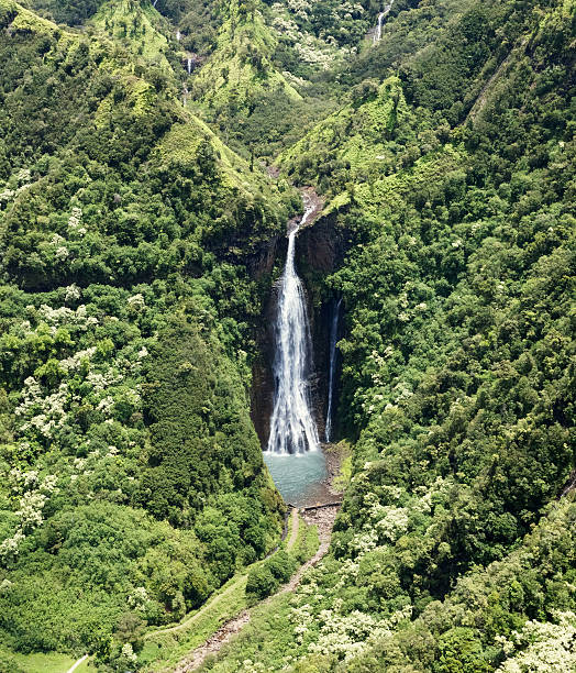 costa napali, havai - kauai tropical climate green travel destinations imagens e fotografias de stock