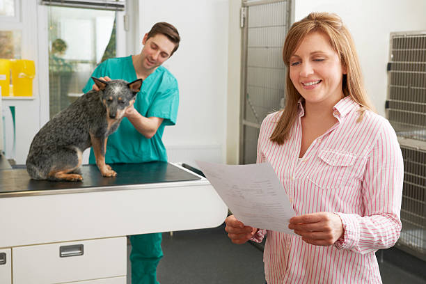 Smiling Woman Looking At Bill In Veterinary Surgery Pet insurance covering animal veterinary fees - dig breed is Australian Blue Heeler animal hospital photos stock pictures, royalty-free photos & images
