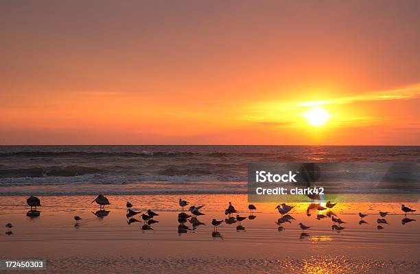 Florida Sunrise Stock Photo - Download Image Now - Florida - US State, St. Augustine - Florida, Beach