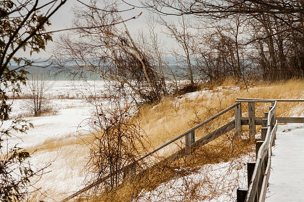 cena de inverno no leelanau peninsula - leelanau peninsula - fotografias e filmes do acervo