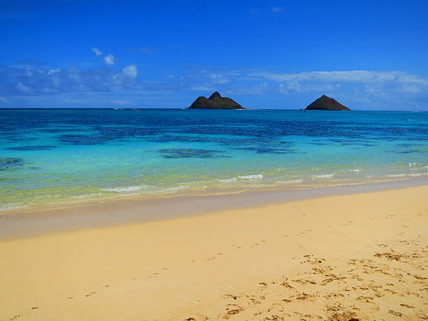 istock Lanikai Beach, Oahu, Hawaii 172450388