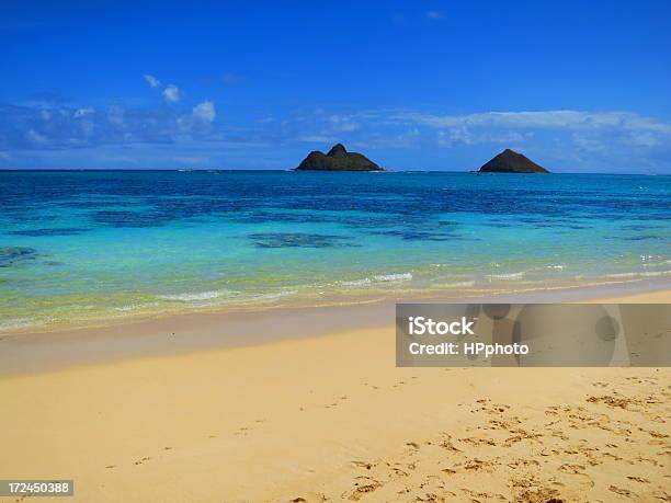 Plaża Lanikai Oahu Hawaje - zdjęcia stockowe i więcej obrazów Plaża Lanikai - Plaża Lanikai, Fala - Woda, Fotografika