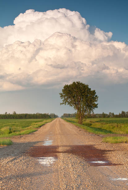 route de gravier - manitoba prairie landscape canada photos et images de collection