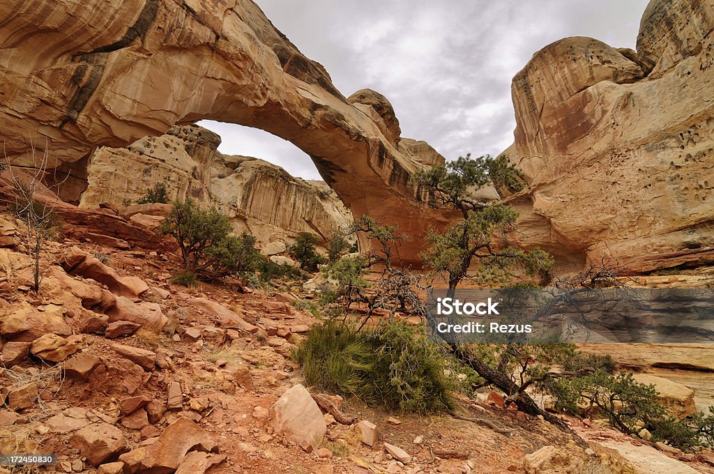 Paisagem de verão com Hickman Natural Bridge de Capitol Reef - Royalty-free Anoitecer Foto de stock