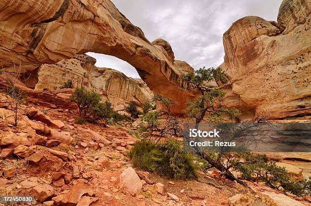 Paisagem De Verão Com Hickman Natural Bridge De Capitol Reef - Fotografias de stock e mais imagens de Anoitecer