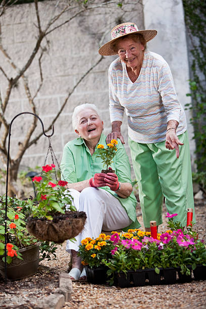 istock Elderly women gardening 172450859