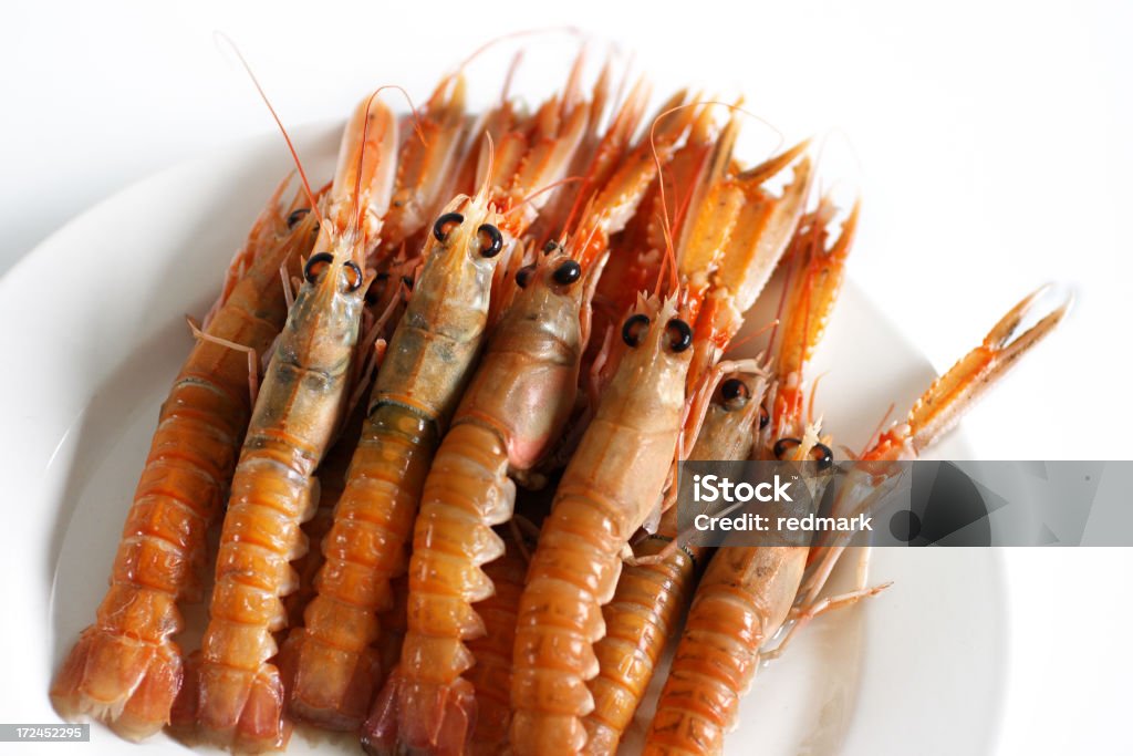 Langoustines известный как Дублинская креветка - Стоковые фото Лангустин - морепродукт роялти-фри