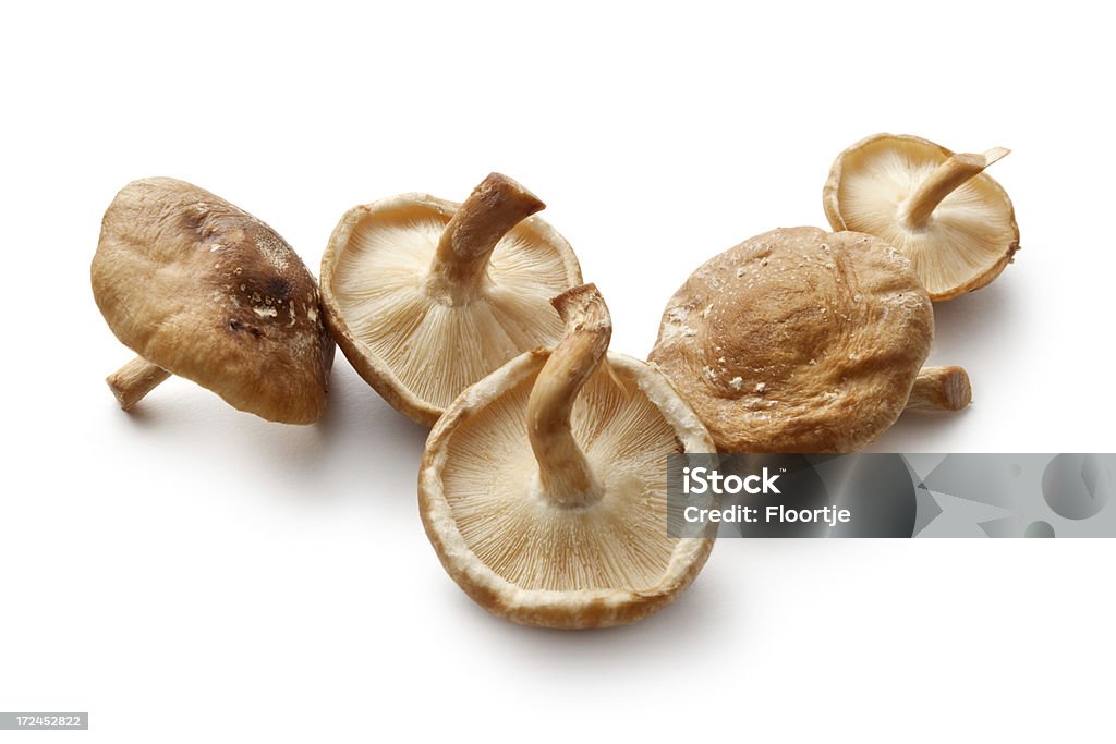 버섯 찜: 표고버섯 - 로열티 프리 표고버섯 스톡 사진