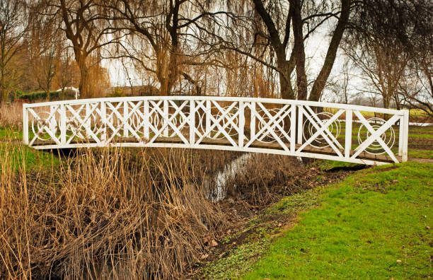 istock Chinese Bridge at Huntingdon, Cambridgeshire 172452850