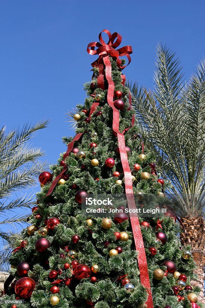 Pin et Palm arbres de Noël - Photo de Noël libre de droits