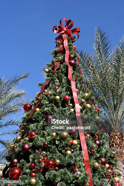 Photo libre de droit de Pin Et Palm Arbres De Noël banque d'images et plus d'images libres de droit de Noël - Noël, Arizona, Sud-ouest américain