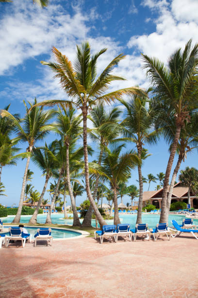 istock Palms and pool at resort 172453186