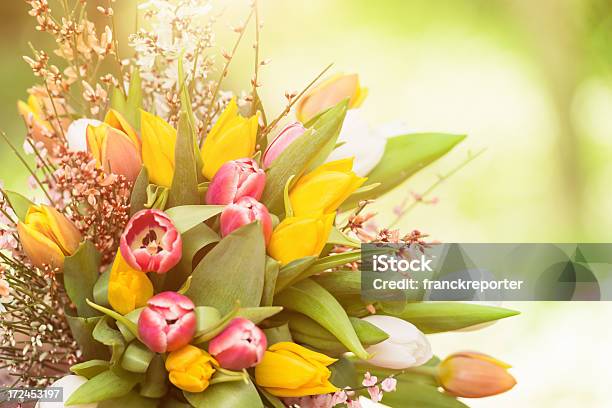 Tulips Bouquet Of Flowers Stock Photo - Download Image Now - Beauty, Bouquet, Close-up