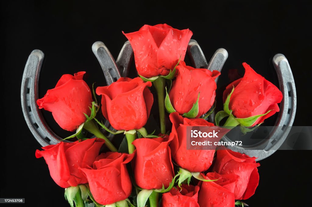 Juego Con Herraduras Y Fregadero Con Rosas Rojas Sobre Fondo Negro Foto De Estudio Foto de stock y más banco de imágenes de Herradura - iStock Juego Con Herraduras Y Fregadero Con Rosas Rojas Sobre Fondo Negro Foto De Estudio Foto de stock y más banco de imágenes de Herradura - iStock
