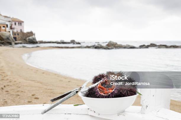 Ricci Di Mare - Fotografie stock e altre immagini di Ambientazione esterna - Ambientazione esterna, Appuntito, Ceramica