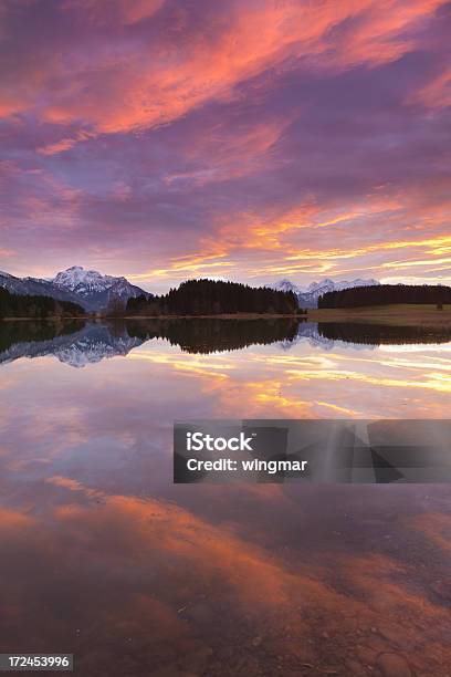 Tranquil Sunset At Lake Forggensee In Bavaria Germany Stock Photo - Download Image Now