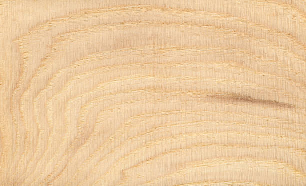 Hickory wood background Hickory exotic wood background. High resolution and lot of details. hardwood tree stock pictures, royalty-free photos & images