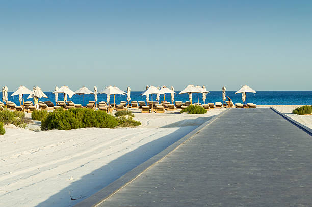 Sunbed under the palm tree and  on a sandy beach. Aerial view. Summer and travel concept. Minimalism