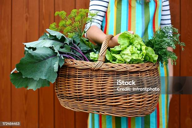 Homegrown Verduras Foto de stock y más banco de imágenes de Adulto - Adulto, Agarrar, Agricultura