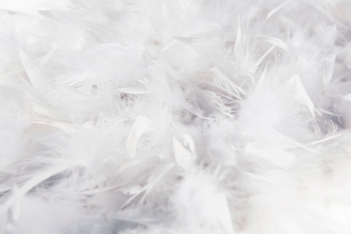 white soft feather background