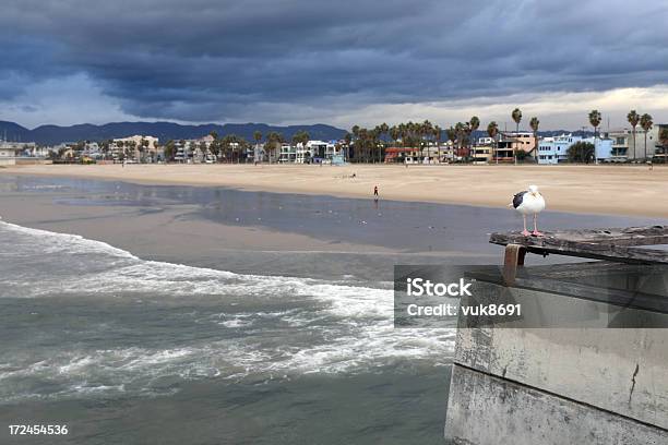 Venice Plaża - zdjęcia stockowe i więcej obrazów Pogoda - Pogoda, Chłodny, Los Angeles