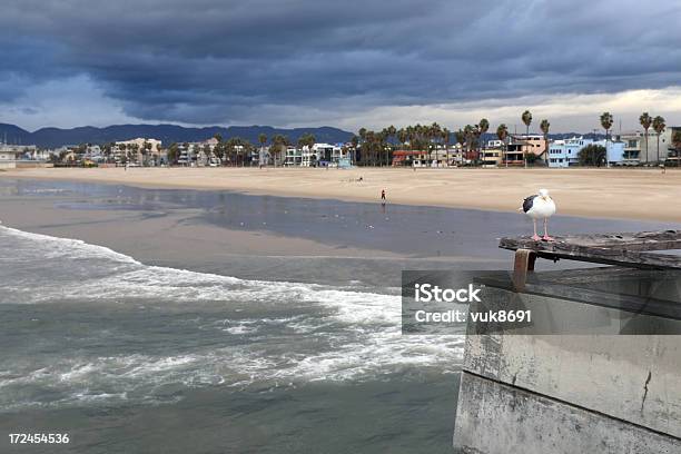 Foto de Venice Beach e mais fotos de stock de Metereologia - Metereologia, Cidade de Los Angeles, Condado de Los Angeles