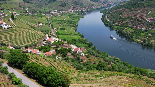 Aerial flyover view of vineyards and river in Douro Valley
