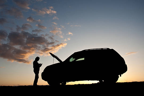 istock Woman Texting For Help With Car Trouble Beside Road 172455181