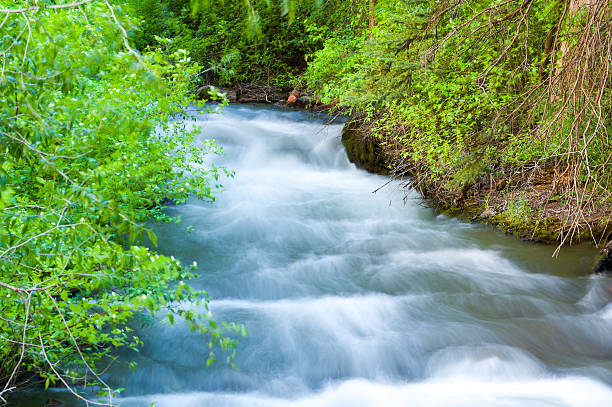 istock Flowing Creek in Mountain Forest 172455300