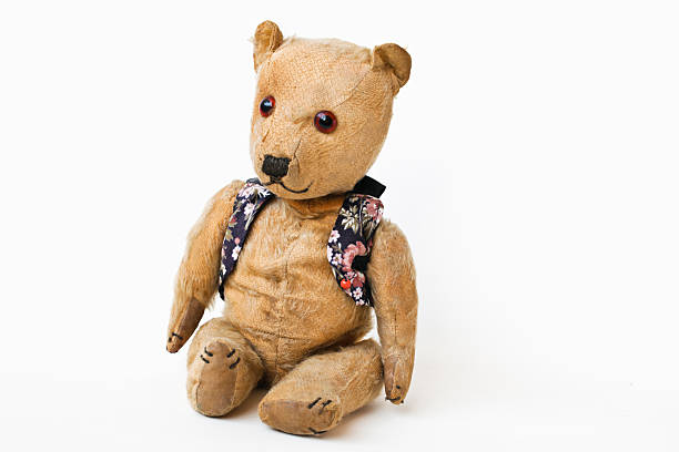 Teddy bear on white background