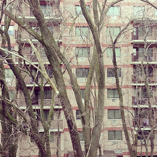 istock Apartment building through the trees 172455490